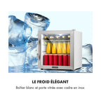 Mini réfrigérateur KLARSTEIN Beersafe L 47 litres - Gris