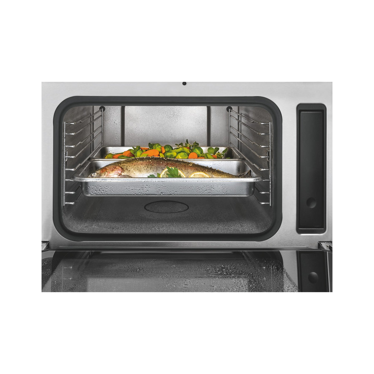 Four encastrable fonction vapeur MIELE DG 7140 - Vapeur - Porte froide