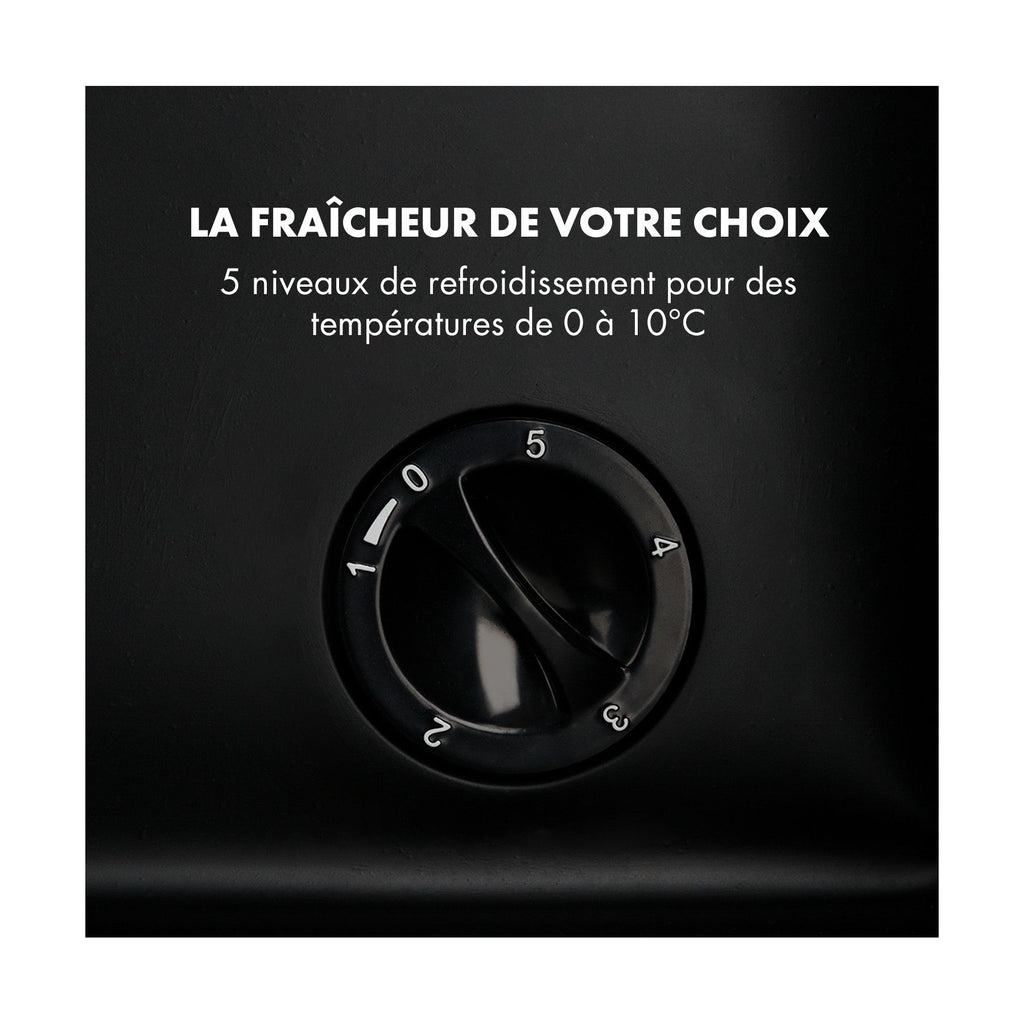 Mini réfrigérateur KLARSTEIN Beersafe M 33 litres - Argent