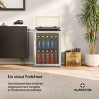 Mini réfrigérateur KLARSTEIN Beersafe porte vitrée 64x48cm LED Argent
