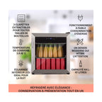 Mini réfrigérateur KLARSTEIN Coachella 50 Minibar 47L WiFi 44 dB inox